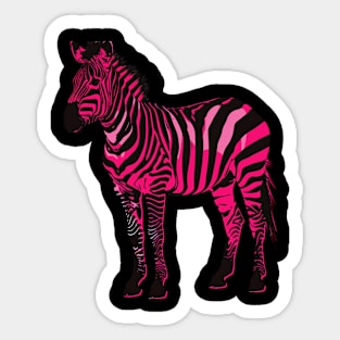 Zebra Fast Foals Sticker